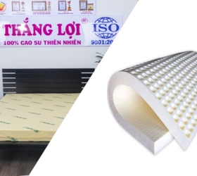 Sự khác biệt giữa nệm cao su non và nệm cao su thiên nhiên của Thắng Lợi