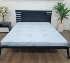 Đánh giá các thương hiệu nệm uy tín trên thị trường tốt nhất hiện nay
