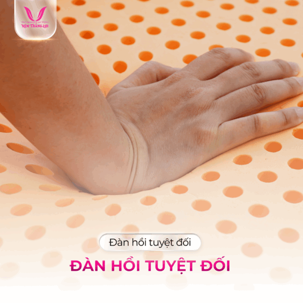 CÔNG TY NỆM THẮNG LỢI 