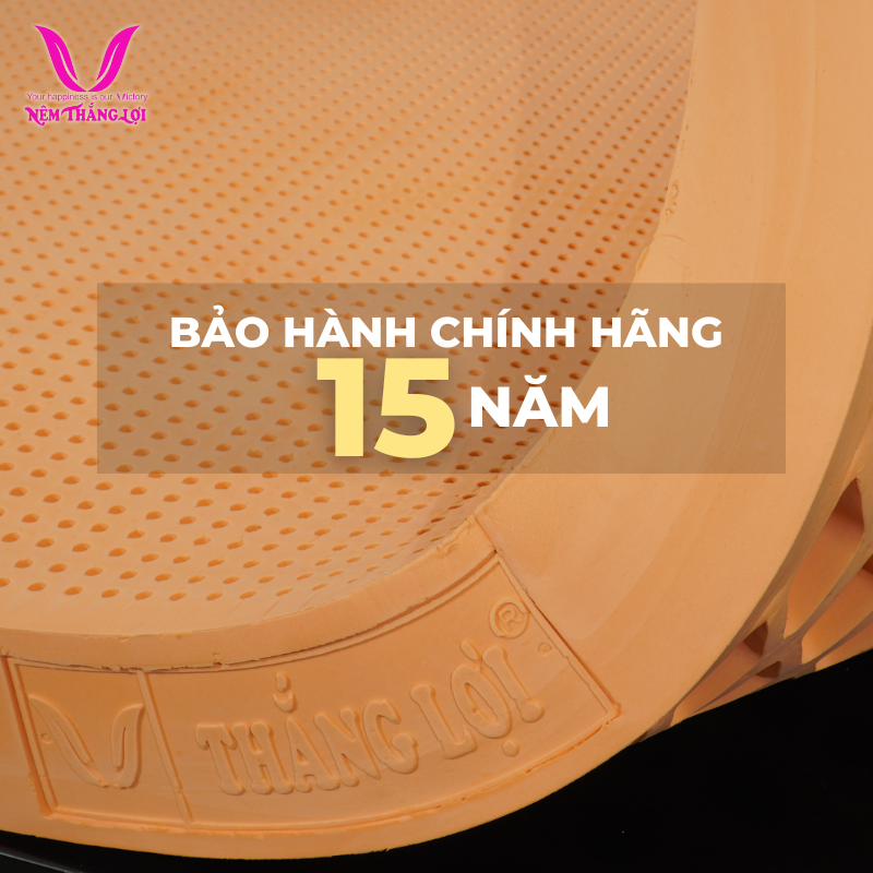 CÔNG TY NỆM THẮNG LỢI 