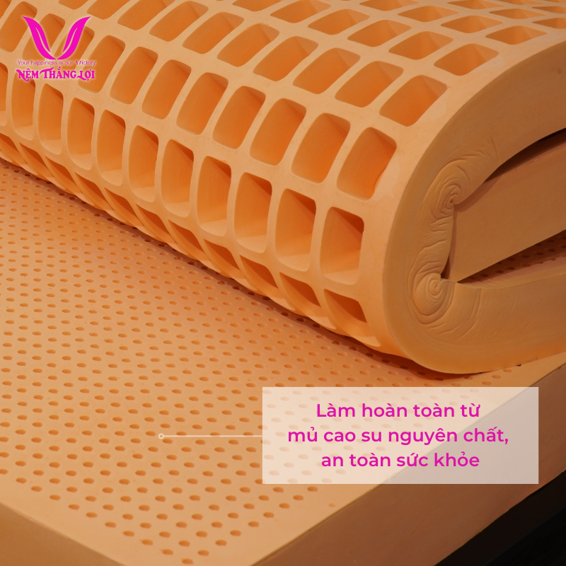 CÔNG TY NỆM THẮNG LỢI 