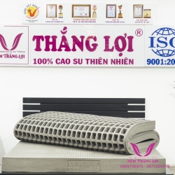 Nệm 100% Cao Su Thiên Nhiên Thắng Lợi Bo Bo-Than Hoạt Tính 5P
