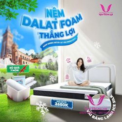Nệm Dalat Foam Thắng Lợi Dòng Mới Ra Công Nghệ Mới Áo Nệm Mát Lạnh