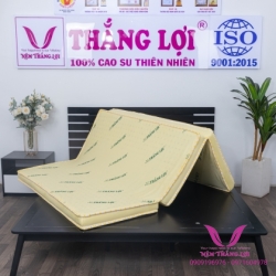 Nệm Cao Su Non Thắng Lợi Gấp 3 Tiện Lợi - Hàng Chính Hãng- Bảo Hành 15 Năm Về Sụt Lún