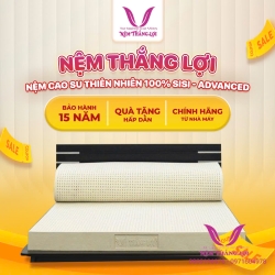 (10p) Nệm Cao Su Thiên Nhiên 100% Thắng Lợi SISI – ADVANCED