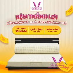 (5p) Nệm Cao Su Thiên Nhiên 100% Thắng Lợi SISI – ADVANCED