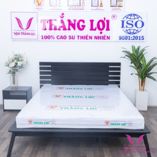 Nệm Cao Su Non Cao Cấp Thắng Lợi - Hàng Chính Hãng-Bảo Hành 15 Năm Về Sụt Lún
