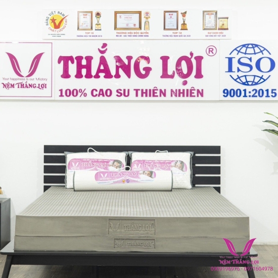Nệm 100% Cao Su Thiên Nhiên Thắng Lợi Bo Bo-Than Hoạt Tính 5P