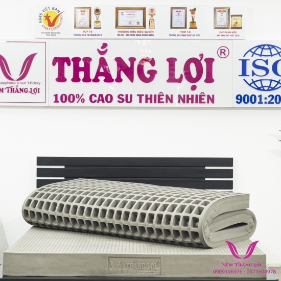 Nệm 100% Cao Su Thiên Nhiên Thắng Lợi Bo Bo-Than Hoạt Tính 5P