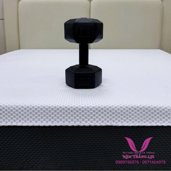Nệm Dalat Foam Thắng Lợi Dòng Mới Ra Công Nghệ Mới Áo Nệm Mát Lạnh