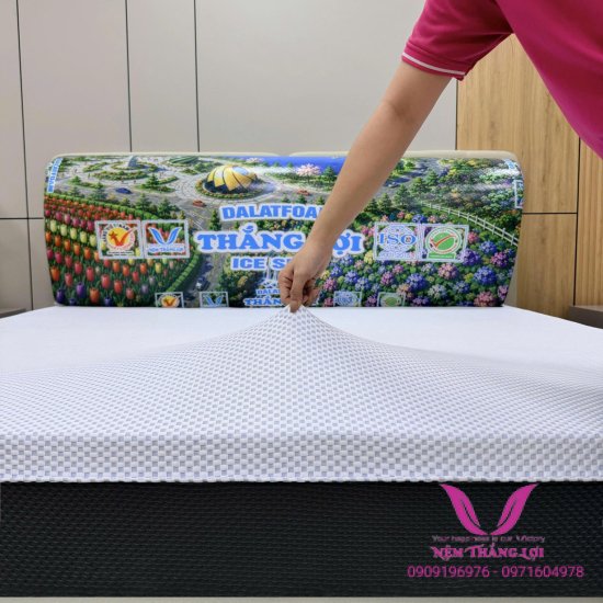 Nệm Dalat Foam Thắng Lợi Dòng Mới Ra Công Nghệ Mới Áo Nệm Mát Lạnh