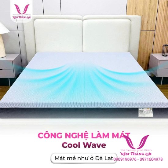 Nệm Dalat Foam Thắng Lợi Dòng Mới Ra Công Nghệ Mới Áo Nệm Mát Lạnh