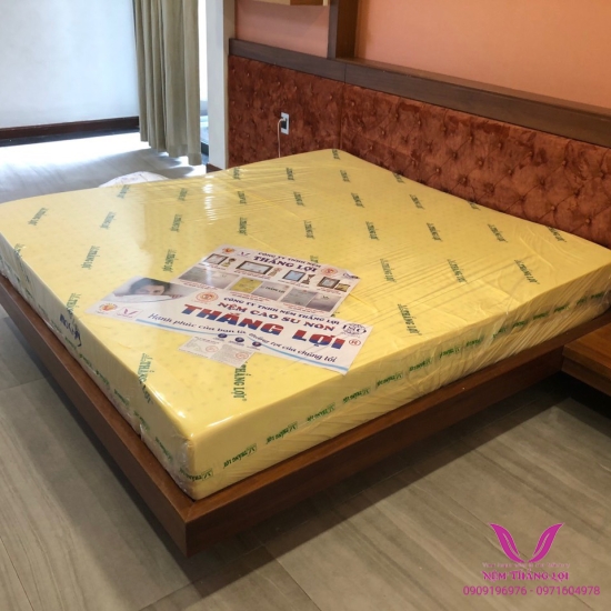 Nệm Cao Su Non Thắng Lợi Dày 30cm- Đệm Cao Su Non Thắng Lợi Dày 30cm
