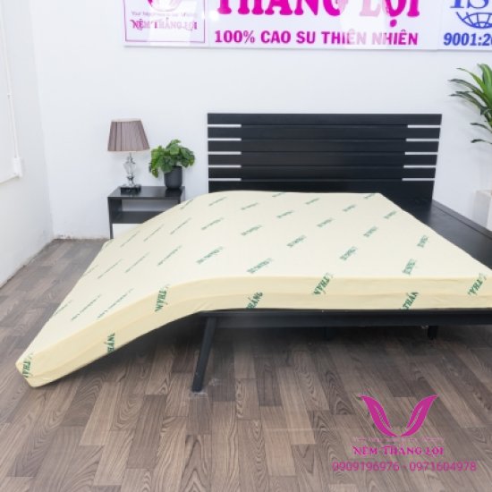 Nệm, Đệm Cao Su Non Thắng Lợi - Hàng Chính Hãng - Bảo Hành 15 Năm Về Sụt Lún