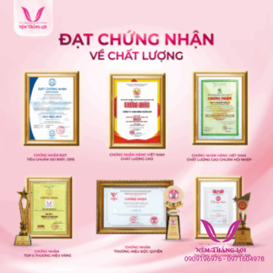 (5p) Nệm Cao Su Thiên Nhiên 100% Thắng Lợi SISI – ADVANCED