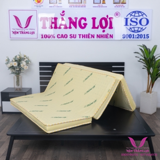Nệm Cao Su Non Thắng Lợi Gấp 3 Tiện Lợi - Hàng Chính Hãng- Bảo Hành 15 Năm Về Sụt Lún