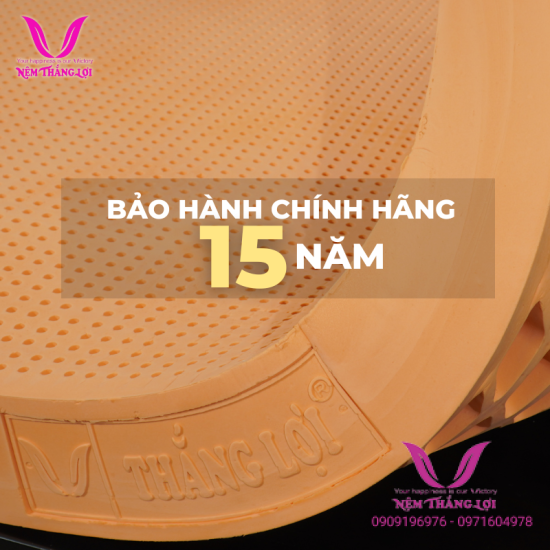 (5p) Nệm Cao Su Thiên Nhiên 100% Susu Original Thắng Lợi 