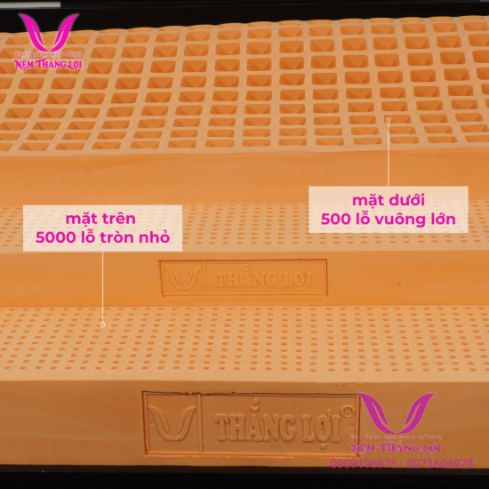 (5p) Nệm Cao Su Thiên Nhiên 100% Susu Original Thắng Lợi 