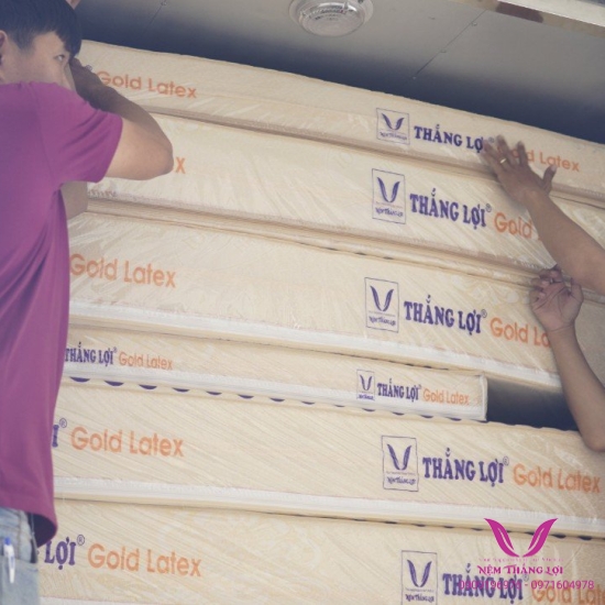 Nệm Cao Su Gold Latex Thắng Lợi - Hàng Chính Hãng