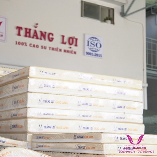 Nệm Cao Su Gold Latex Thắng Lợi - Hàng Chính Hãng