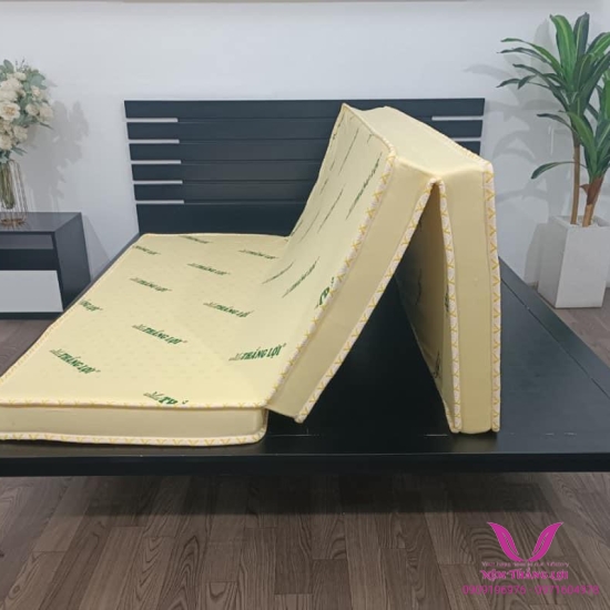 Nệm Cao Su Non Thắng Lợi Gấp 3 Tiện Lợi - Hàng Chính Hãng- Bảo Hành 15 Năm Về Sụt Lún