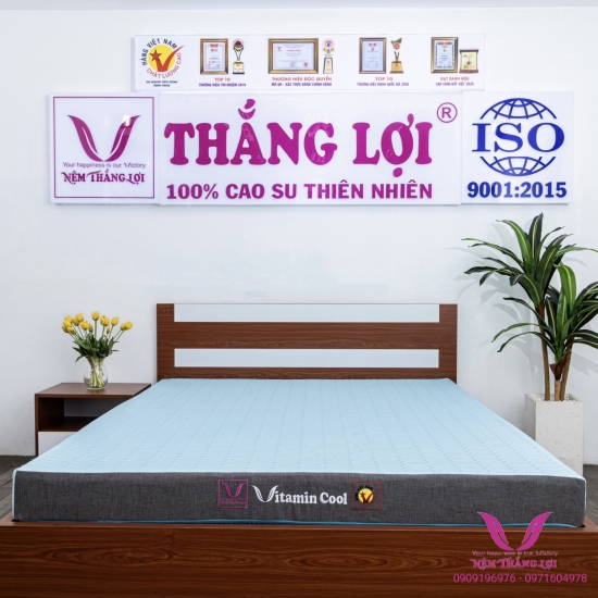 NỆM CAO SU ĐIỀU HOÀ THẮNG LỢI - VITAMIN COOL-NỆM CHÍNH HÃNG BẢO HÀNH 15 NĂM VỀ SỤT LÚN 