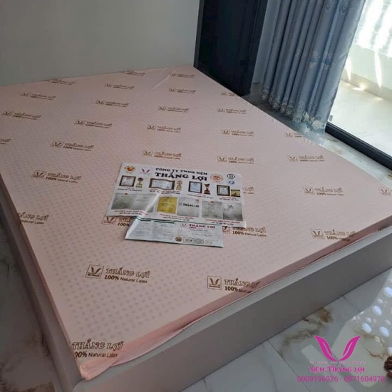 (15p) Nệm Cao Su Thiên Nhiên 100% Thắng Lợi SISI – ADVANCED