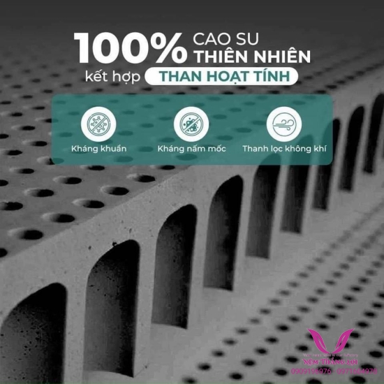 (10P) Nệm 100% Cao Su Thiên Nhiên Thắng Lợi Bo Bo - Than Hoạt Tính 