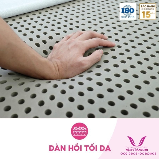 (5P) Nệm 100% Cao Su Thiên Nhiên Thắng Lợi Bo Bo-Than Hoạt Tính 