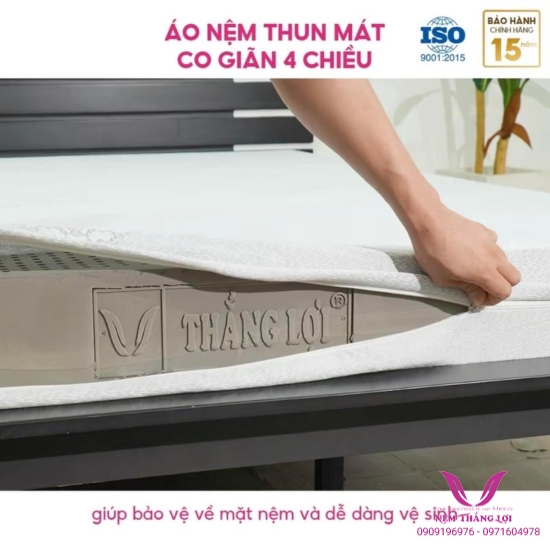 (10P) Nệm 100% Cao Su Thiên Nhiên Thắng Lợi Bo Bo - Than Hoạt Tính 