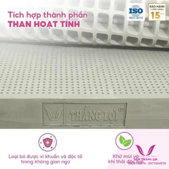(5P) Nệm 100% Cao Su Thiên Nhiên Thắng Lợi Bo Bo-Than Hoạt Tính 
