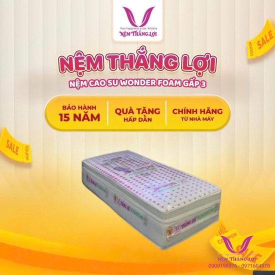 Nệm Cao Su Wonder Foam Gấp 3 Hàng Chính Hãng Công Ty Bảo Hành 15 Năm Về Sụt Lún