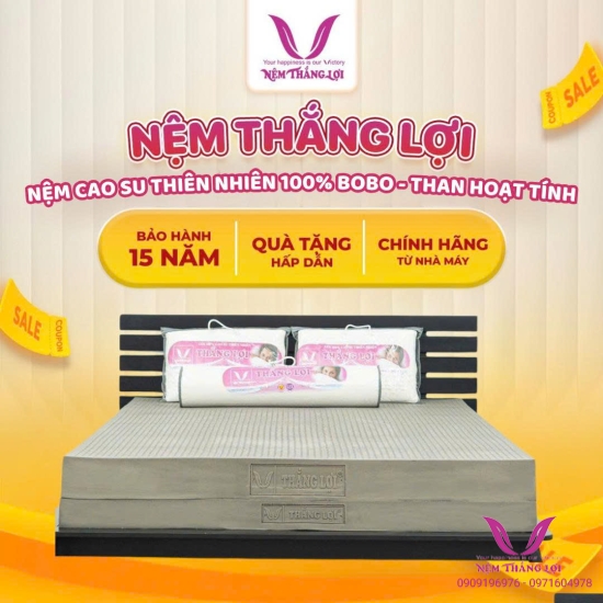(10P) Nệm 100% Cao Su Thiên Nhiên Thắng Lợi Bo Bo - Than Hoạt Tính