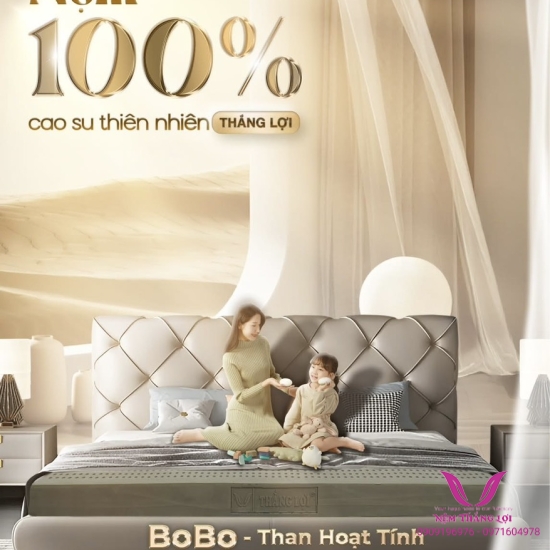 (5P) Nệm 100% Cao Su Thiên Nhiên Thắng Lợi Bo Bo-Than Hoạt Tính 