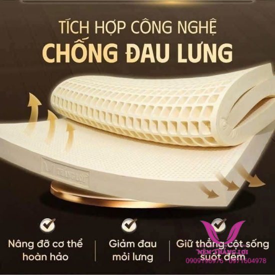 (5p) Nệm Cao Su Thiên Nhiên 100% Thắng Lợi SISI – ADVANCED