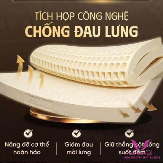 (10p) Nệm Cao Su Thiên Nhiên 100% Thắng Lợi SISI – ADVANCED
