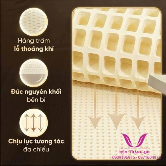 (5p) Nệm Cao Su Thiên Nhiên 100% Thắng Lợi SISI – ADVANCED