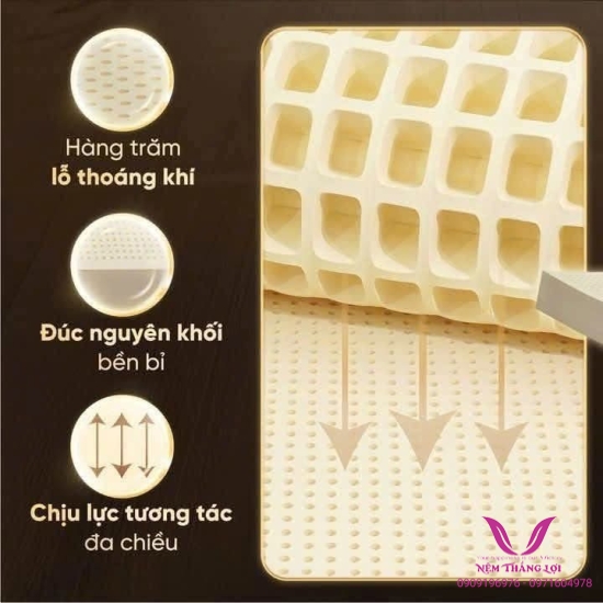 (15p) Nệm Cao Su Thiên Nhiên 100% Thắng Lợi SISI – ADVANCED