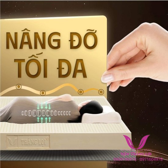 (5p) Nệm Cao Su Thiên Nhiên 100% Thắng Lợi SISI – ADVANCED