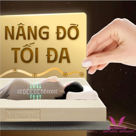 (10p) Nệm Cao Su Thiên Nhiên 100% Thắng Lợi SISI – ADVANCED