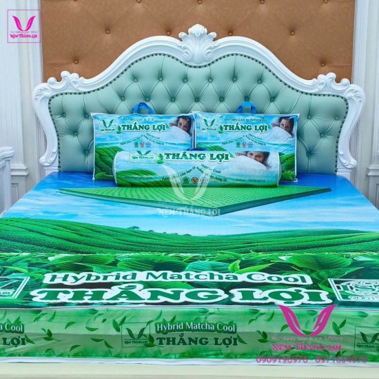 Gối Nằm 100% Cao Su Thiên Nhiên Thắng Lợi Điều Hoà Matcha Cool