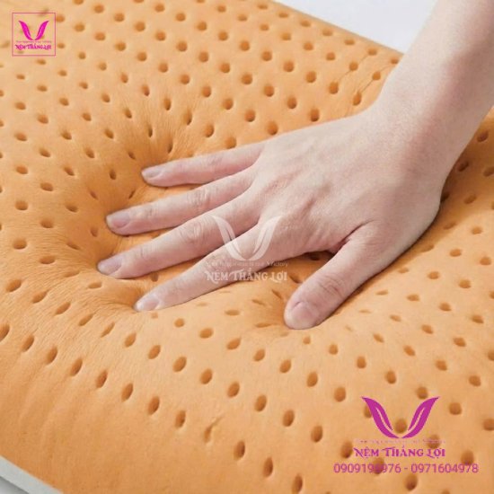 Gối Nằm 100% Cao Su Thiên Nhiên Thắng Lợi SuSu Original